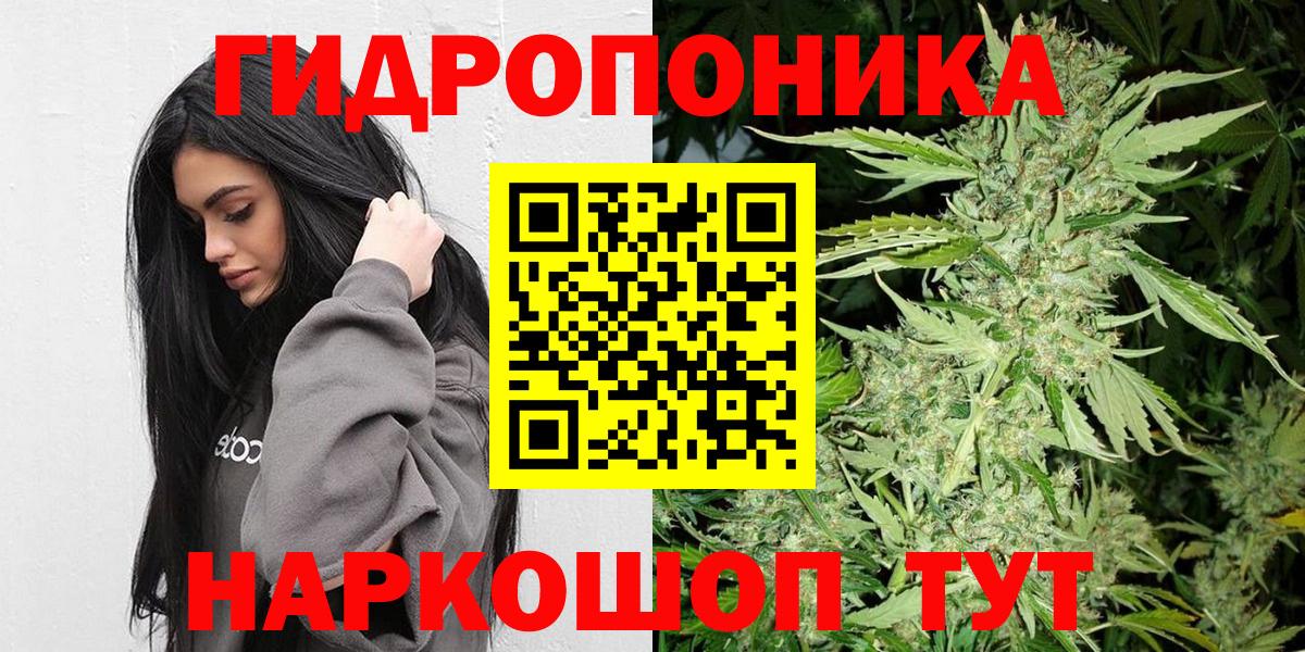 Бошки Шишки план Тамбов